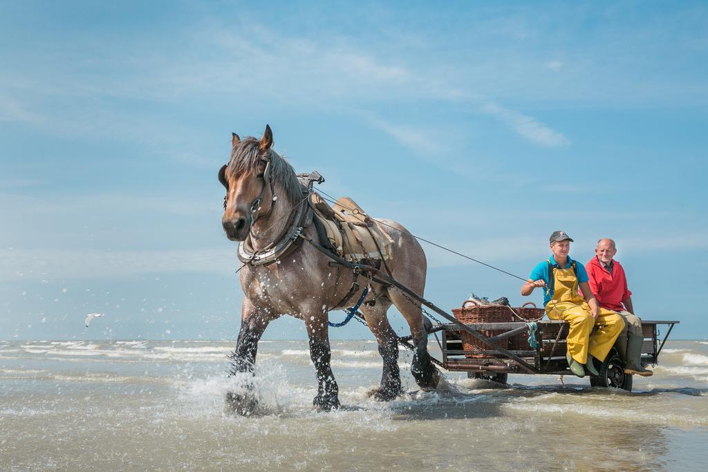 Jeugdherberg De Peerdevisser Oostduinkerke Ngoại thất bức ảnh